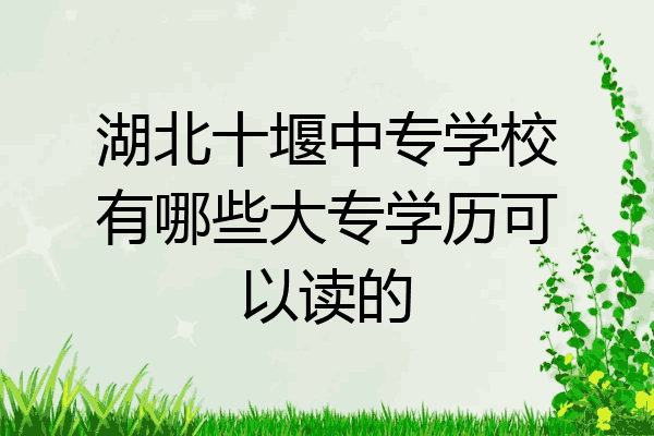 湖北十堰中专学校有哪些大专学历可以读的