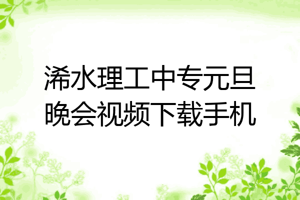 浠水理工中专元旦晚会视频下载手机