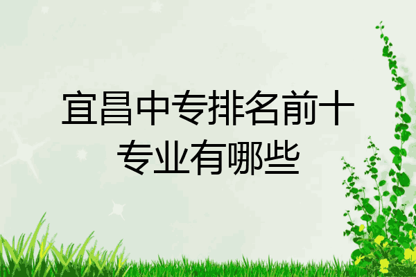 宜昌中专排名前十专业有哪些