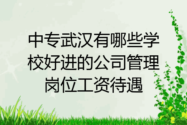 中专武汉有哪些学校好进的公司管理岗位工资待遇
