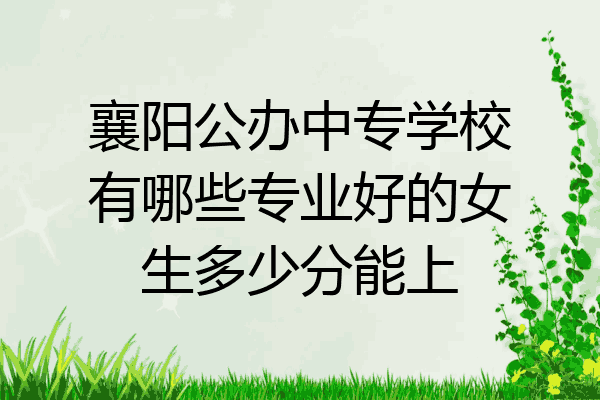 襄阳公办中专学校有哪些专业好的女生多少分能上