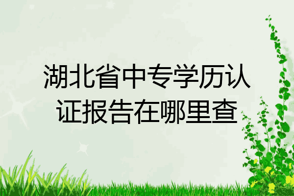湖北省中专学历认证报告在哪里查