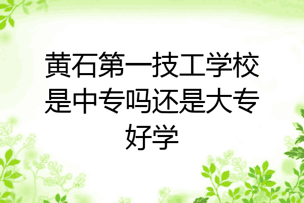 黄石第一技工学校是中专吗还是大专好学