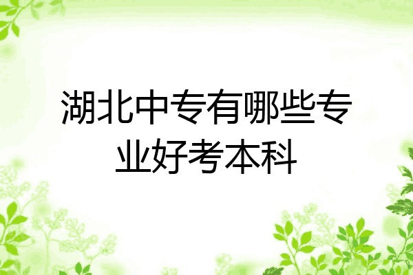 湖北中专有哪些专业好考本科