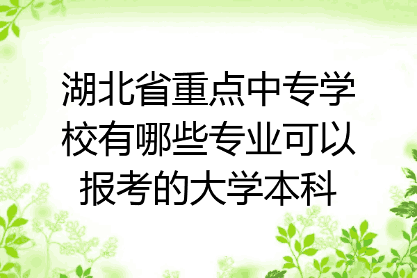 湖北省重点中专学校有哪些专业可以报考的大学本科