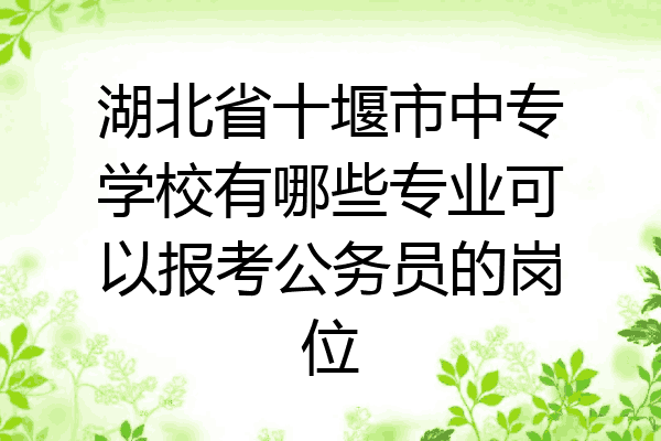 湖北省十堰市中专学校有哪些专业可以报考公务员的岗位
