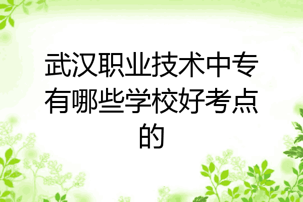 武汉职业技术中专有哪些学校好考点的