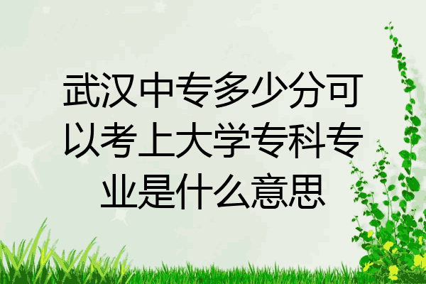 武汉中专多少分可以考上大学专科专业是什么意思