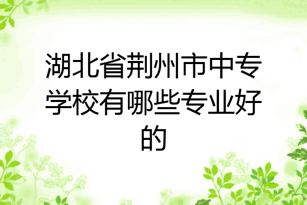 湖北省荆州市中专学校有哪些专业好的