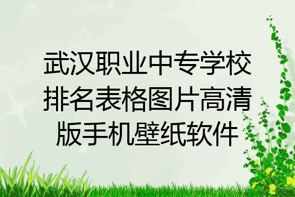 武汉职业中专学校排名表格图片高清版手机壁纸软件