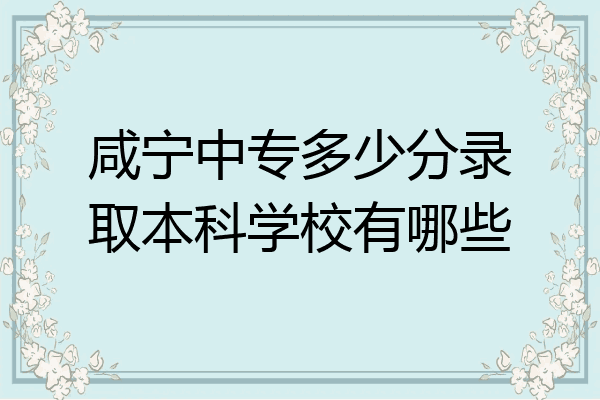 咸宁中专多少分录取本科学校有哪些