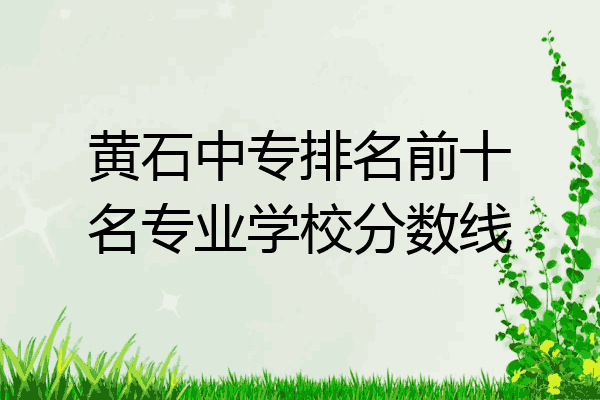 黄石中专排名前十名专业学校分数线