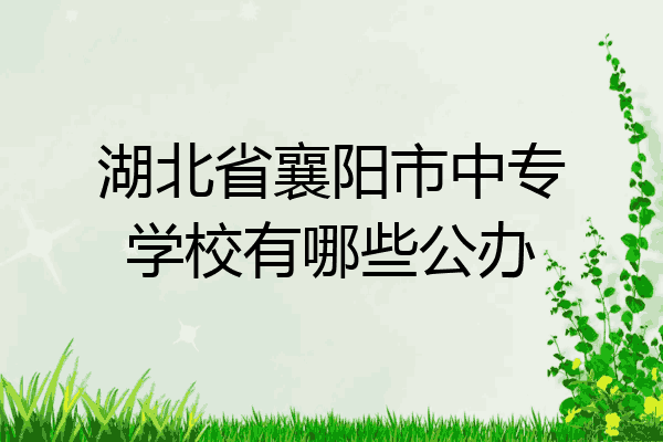 湖北省襄阳市中专学校有哪些公办