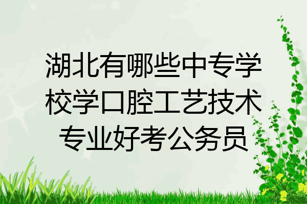 湖北有哪些中专学校学口腔工艺技术专业好考公务员
