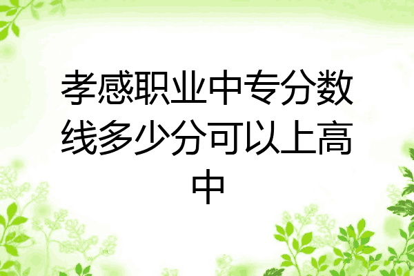孝感职业中专分数线多少分可以上高中