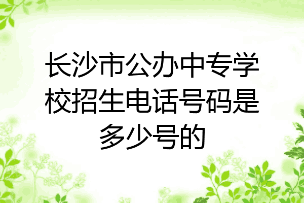 长沙市公办中专学校招生电话号码是多少号的
