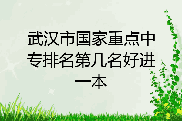 武汉市国家重点中专排名第几名好进一本
