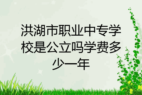 洪湖市职业中专学校是公立吗学费多少一年