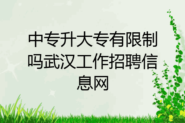 中专升大专有限制吗武汉工作招聘信息网