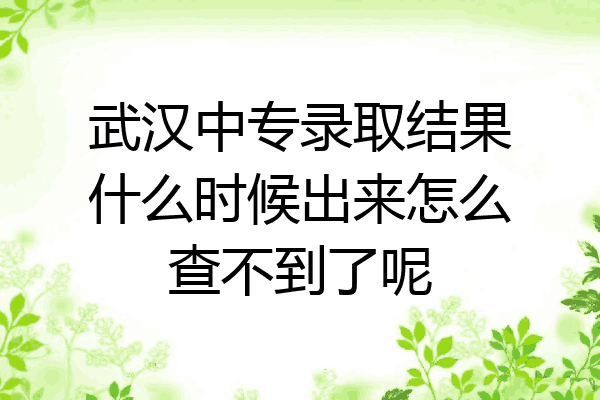 武汉中专录取结果什么时候出来怎么查不到了呢