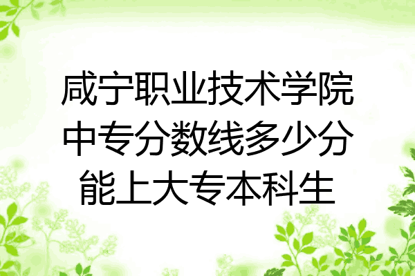咸宁职业技术学院中专分数线多少分能上大专本科生