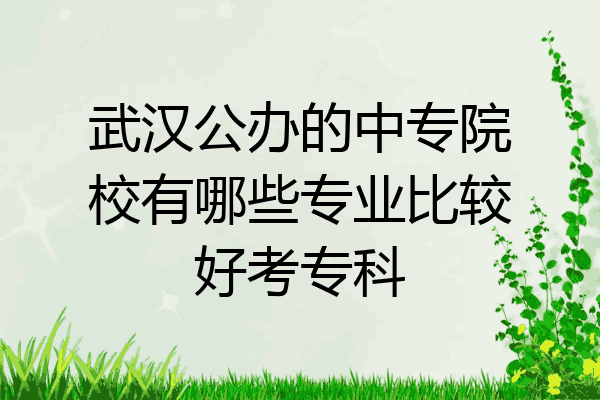 武汉公办的中专院校有哪些专业比较好考专科