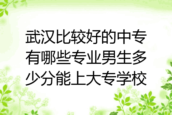 武汉比较好的中专有哪些专业男生多少分能上大专学校