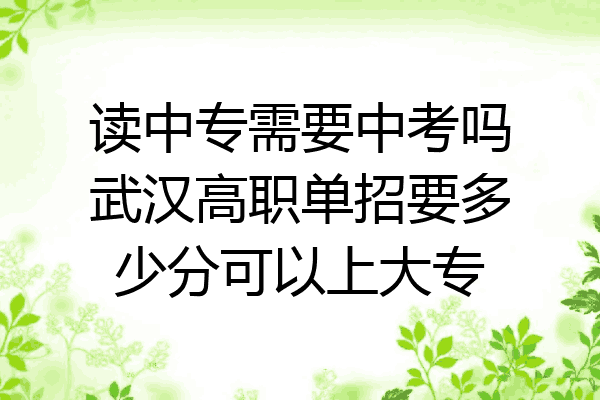 读中专需要中考吗武汉高职单招要多少分可以上大专
