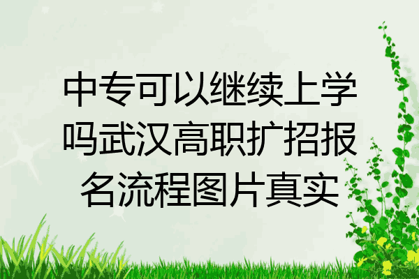 中专可以继续上学吗武汉高职扩招报名流程图片真实