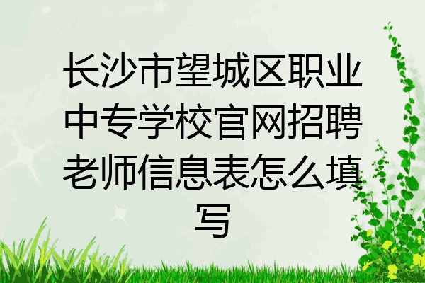 长沙市望城区职业中专学校官网招聘老师信息表怎么填写