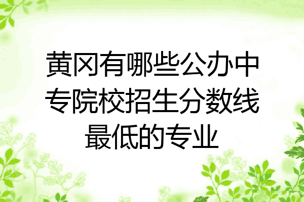 黄冈有哪些公办中专院校招生分数线最低的专业