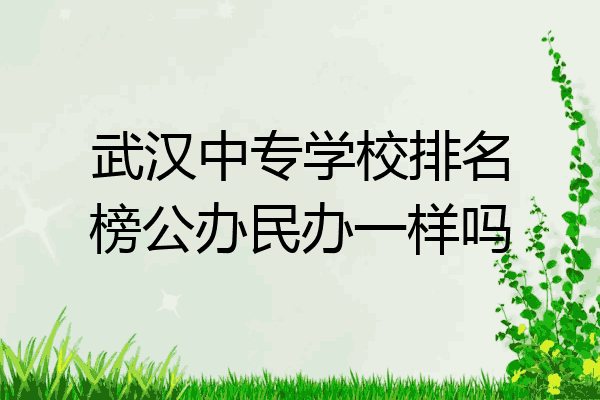 武汉中专学校排名榜公办民办一样吗