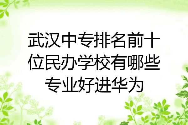 武汉中专排名前十位民办学校有哪些专业好进华为