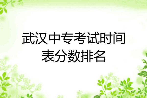武汉中专考试时间表分数排名