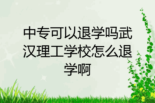 中专可以退学吗武汉理工学校怎么退学啊