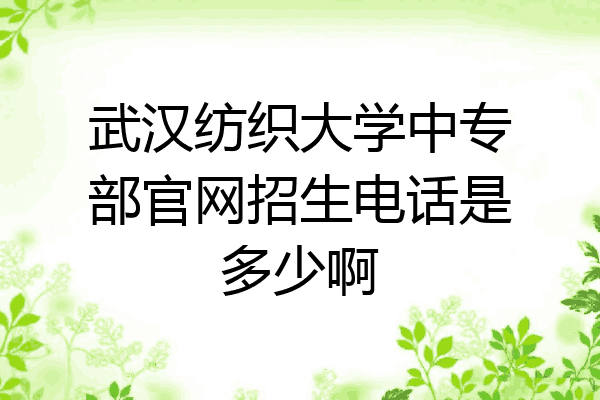 武汉纺织大学中专部官网招生电话是多少啊