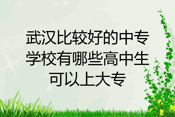武汉比较好的中专学校有哪些高中生可以上大专