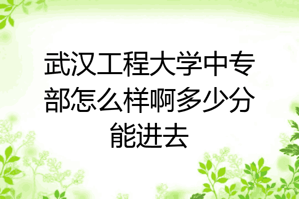 武汉工程大学中专部怎么样啊多少分能进去