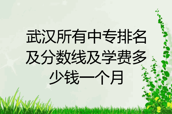 武汉所有中专排名及分数线及学费多少钱一个月