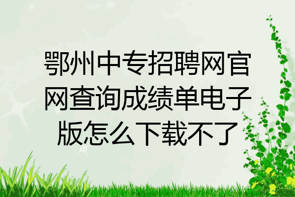 鄂州中专招聘网官网查询成绩单电子版怎么下载不了