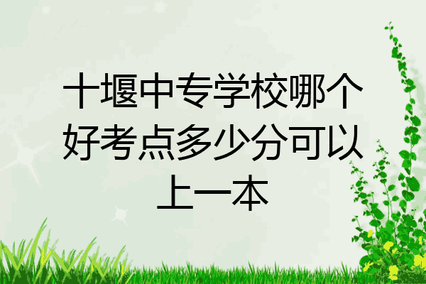 十堰中专学校哪个好考点多少分可以上一本