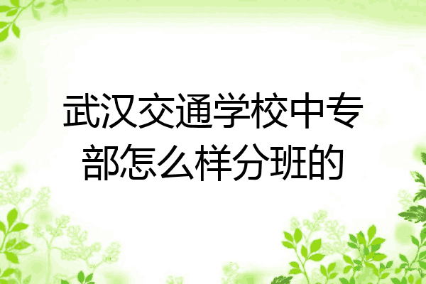 武汉交通学校中专部怎么样分班的