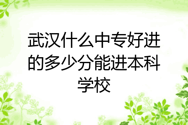 武汉什么中专好进的多少分能进本科学校