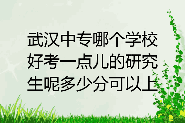 武汉中专哪个学校好考一点儿的研究生呢多少分可以上