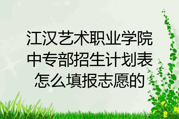 江汉艺术职业学院中专部招生计划表怎么填报志愿的