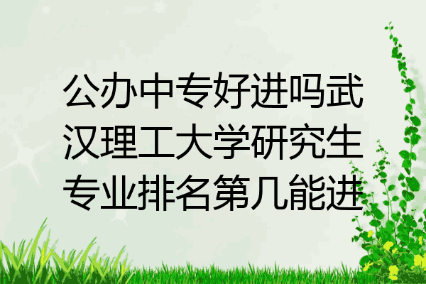 公办中专好进吗武汉理工大学研究生专业排名第几能进