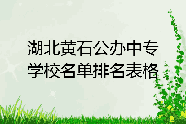 湖北黄石公办中专学校名单排名表格