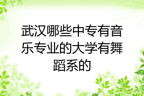 武汉哪些中专有音乐专业的大学有舞蹈系的
