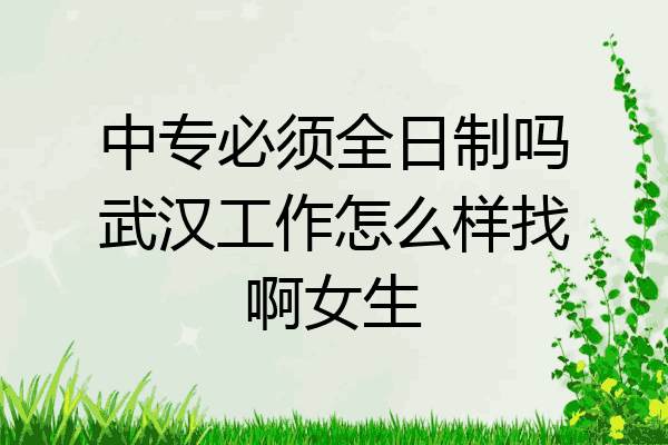 中专必须全日制吗武汉工作怎么样找啊女生