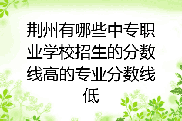 荆州有哪些中专职业学校招生的分数线高的专业分数线低